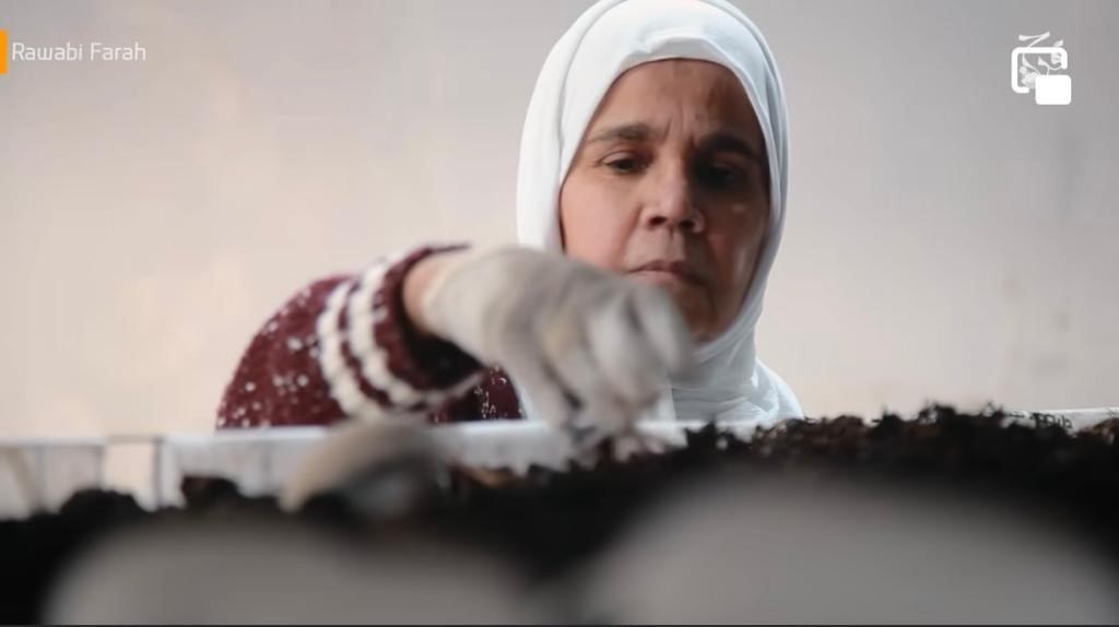 فايزة الزبيدي 