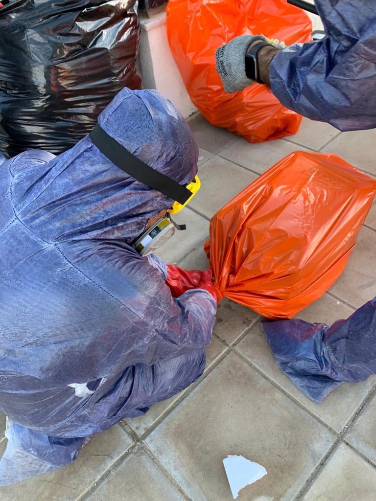 كوادر البيئة الخضراء"كلين سيتي": جنود مجهولون على خط المواجهة