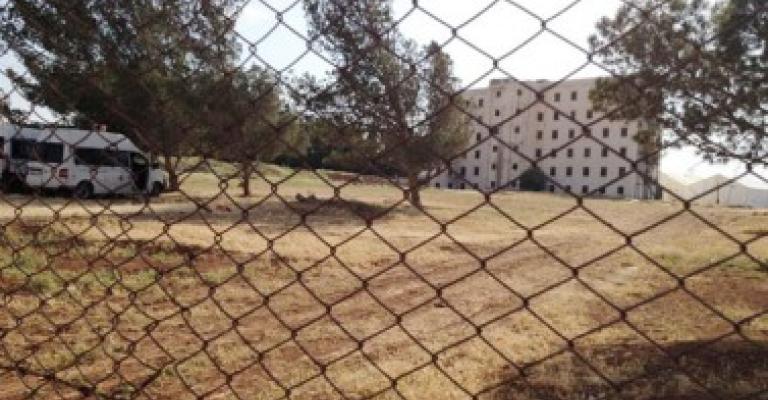 السايبر ستي، قصة لجوء السايبر ستي، قصة لجوء