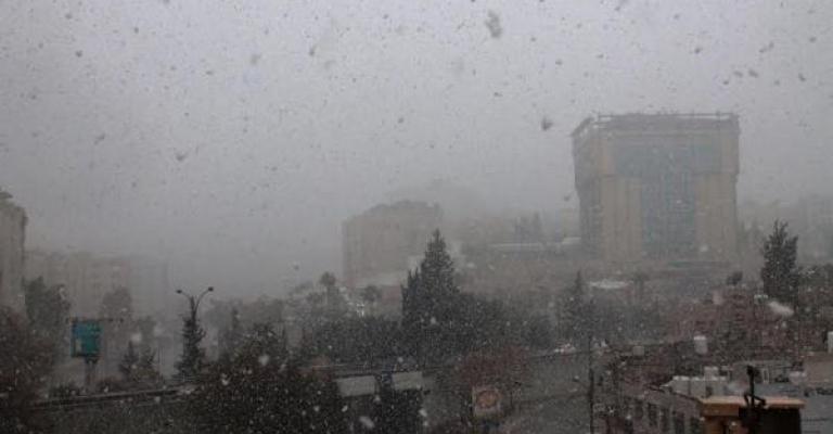 الزائر الأبيض في عمان