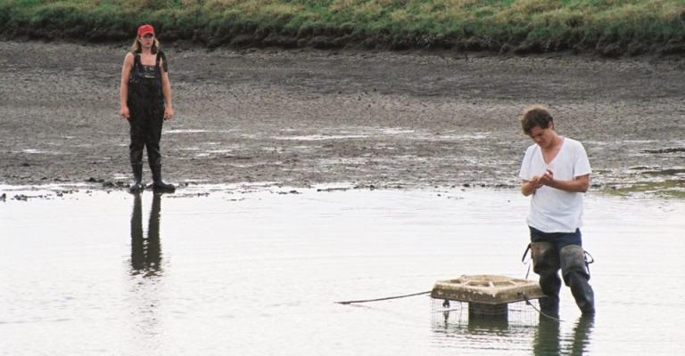 فيلم "قصص إطلاق نار" في شومان فيلم "قصص إطلاق نار" في شومان