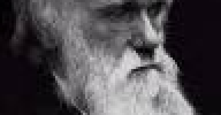 داروين في الجامعة الأردنية: أين المشكلة؟