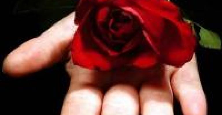 ناغور مستشارة في وزارة التنمية الاجتماعية