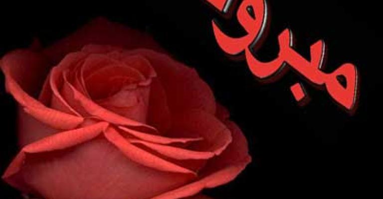 سامر جوابره نقيباً لتجارالمواد الغذائية