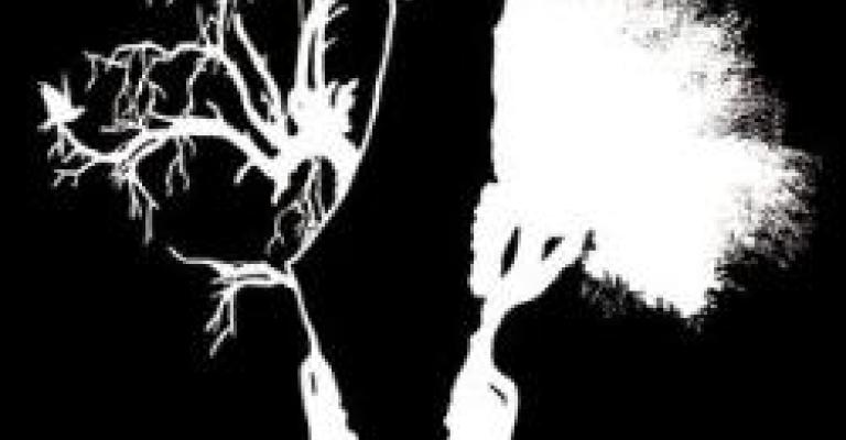 حشد في ذكرى النكبة:حق العودة ورفض المفاوضات غير المباشرة حشد في ذكرى النكبة:حق العودة ورفض المفاوضات غير المباشرة