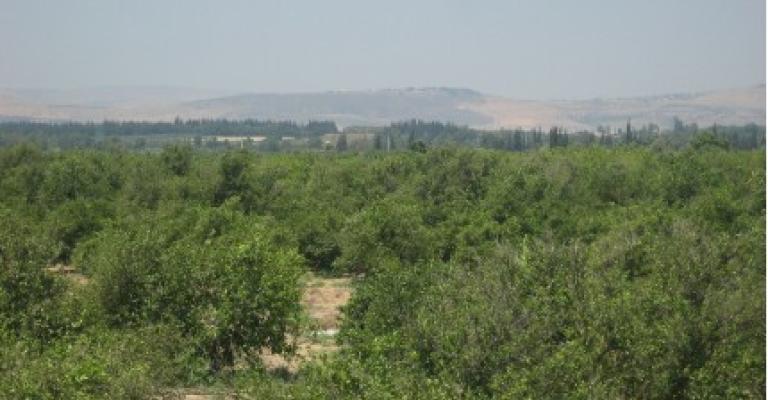 انتزاع أراض من متنفذ بعد 3 سنوات