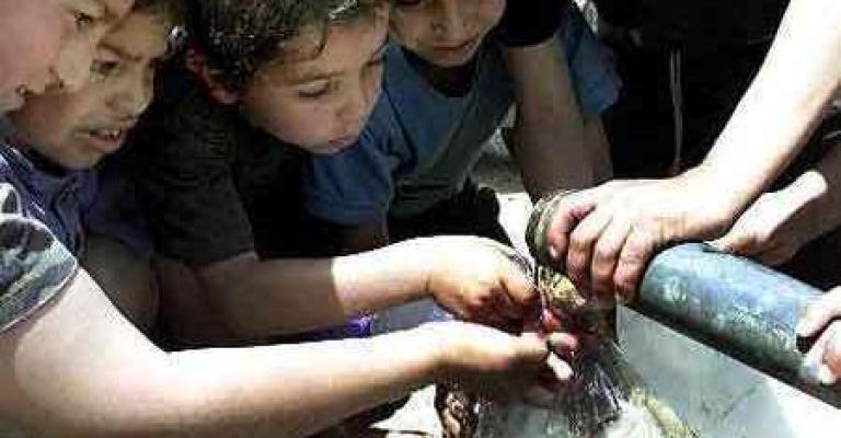  شح المياه يجبر أهالي حي الجمعية للشرب من مياه ري المزروعات 