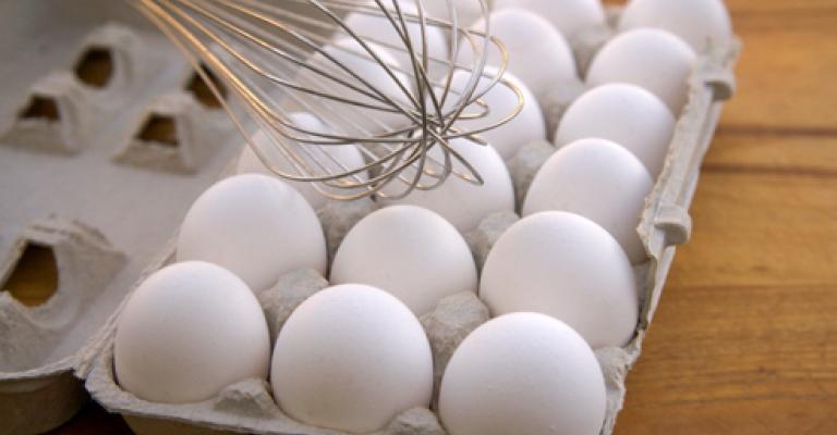 ارتفاع كمية البيض في الأردن