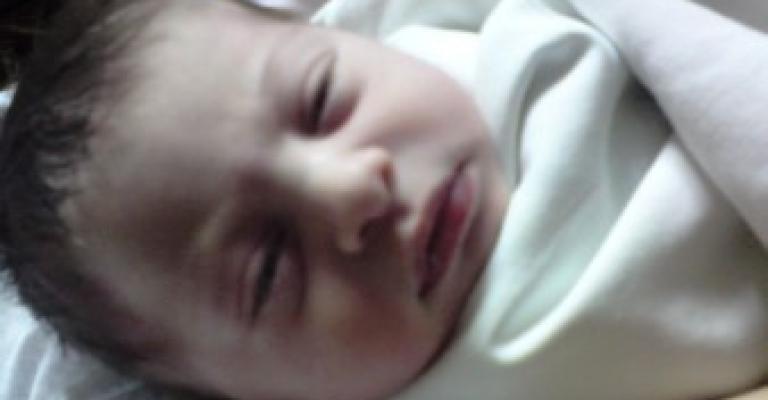 بيلسان زهرة ترى النور