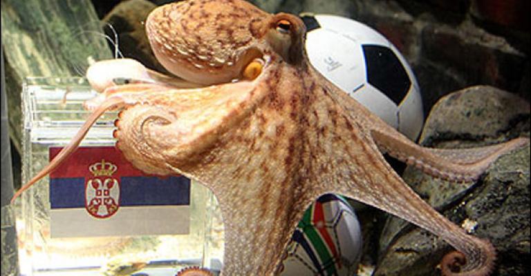 Octopus expects Spain to overcome Germany