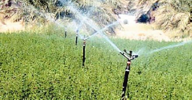 وزارة المياه تدرس تعديل تعرفة مياه الري