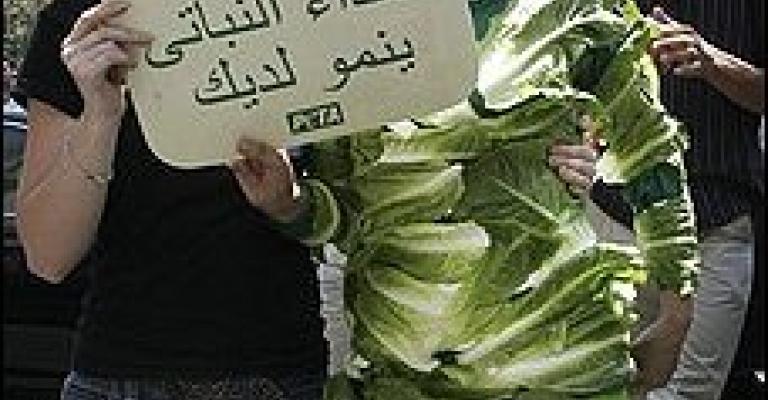 سيدة الخس في الواشنطن بوست