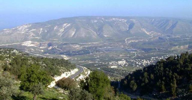 الشرمان :لا نية للحكومة ببيع الأراضي الحرجية 