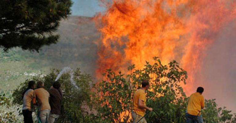 احتراق 50 دونم من الاشجار المثمرة