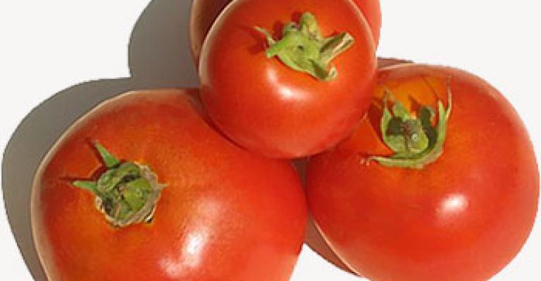 ارتفاع نسبة زراعة البندورة في الأردن