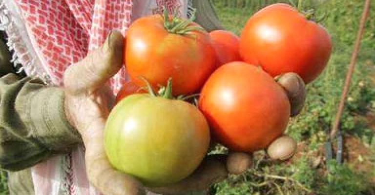 الزيود يستهجن اهانة مزارعي الاغوار