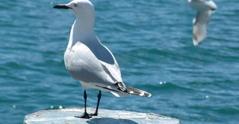 موقع الكتروني ..جديد موقع الكتروني ..جديد