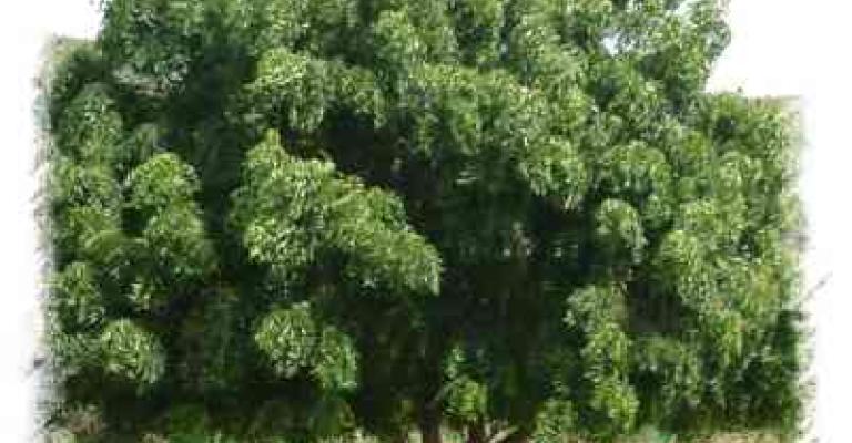 الوجه( الخضاري) للأردن