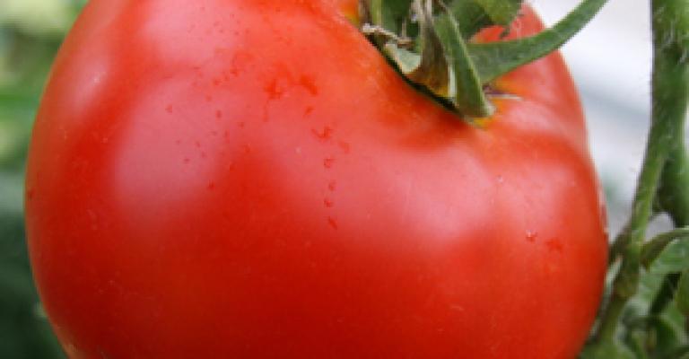 البندورة بـ 80 قرش