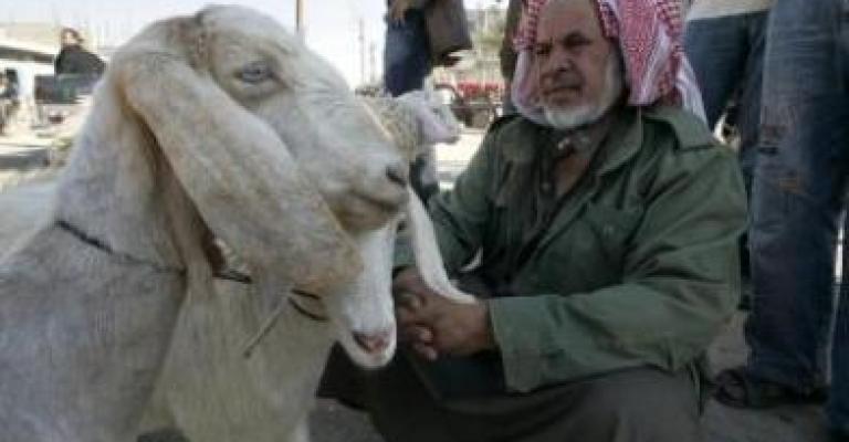 العمل الإسلامي:رفع أسعار الأعلاف يزيد فاتورة المستهلك العمل الإسلامي:رفع أسعار الأعلاف يزيد فاتورة المستهلك