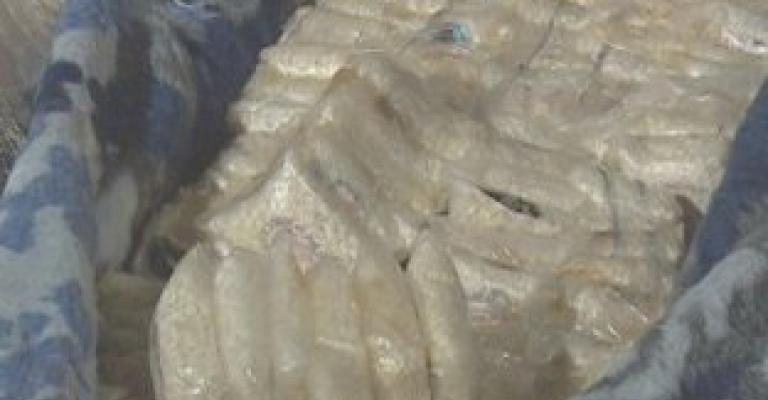 Thwart smuggling of 161kg of Captagon