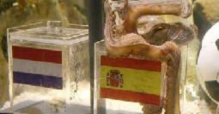 نفوق الأخطبوط بول 