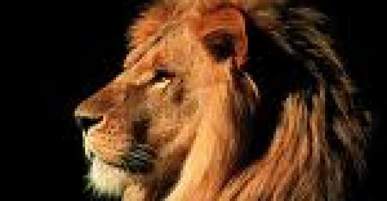 هذه حكاية العرب هذه حكاية العرب