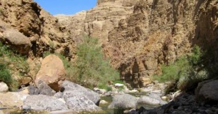 Sustainability and Youth Are The Way Forward