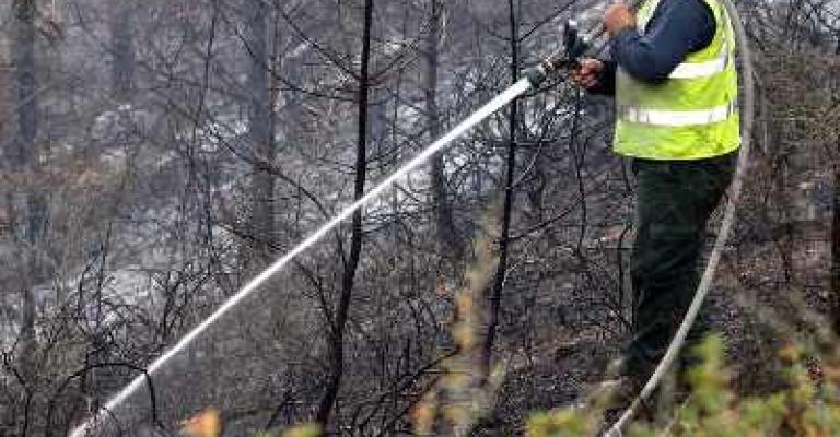  مشاركة أردنية بإخماد حريق الكرمل