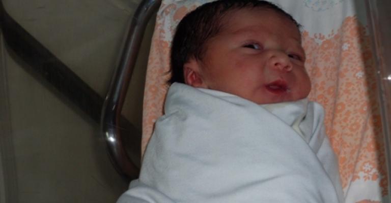 الزميل حتر يرزق بـ"جوزيف"