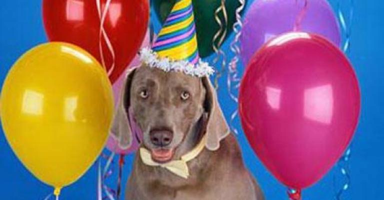 Female spends USD42000 on dog’s birthday party Female spends USD42000 on dog’s birthday party