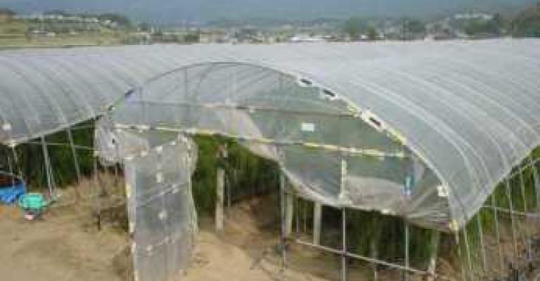 رفع أسعار المحروقات وآثاره على القطاع الزراعي