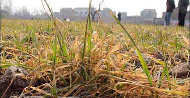 مزارعون يدقون ناقوس الخطر بسبب غياب الأمطار 