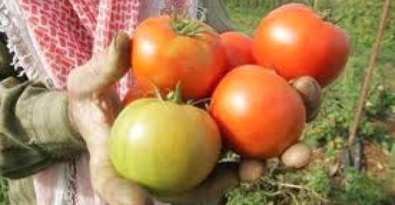 مزراعو الاغوار الوسطى لا فائدة من الحكومة الجديد