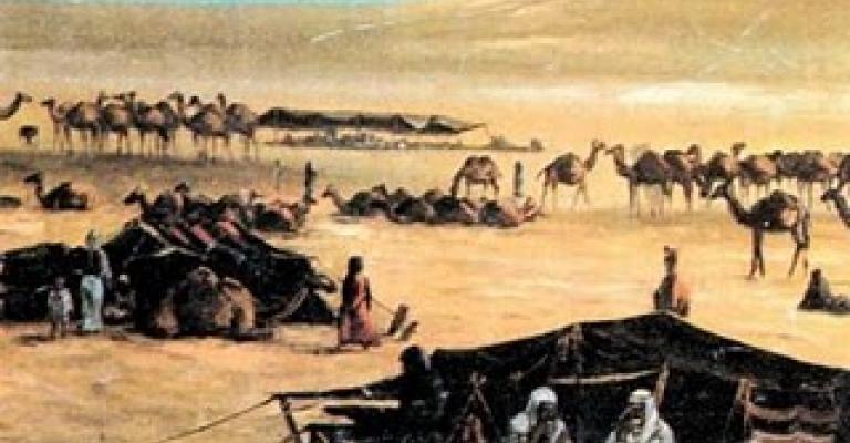 النائب الزواهرة: الحرس الملكي أطلق النار على المعتصمين دون قصد