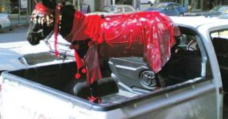 حمير باللون الأحمر بالرمثا