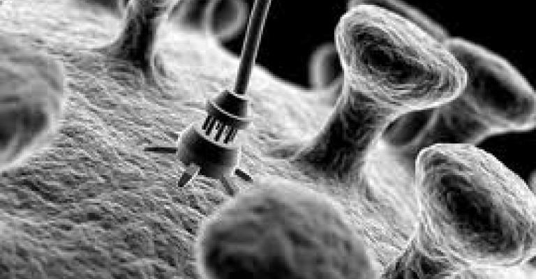 طالب أردني يحقق إنجازا بتقنية "النانو" طالب أردني يحقق إنجازا بتقنية "النانو"