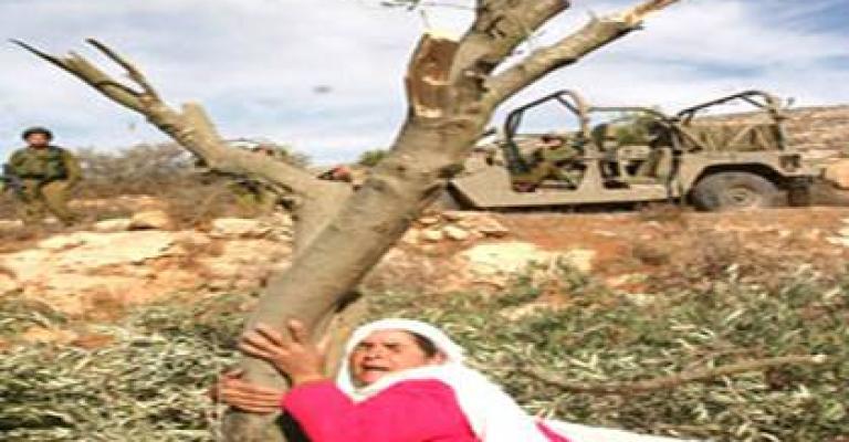 حشد في ذكرى يوم الأرض الثورات تصب في صالح القضية الفلسطينية حشد في ذكرى يوم الأرض الثورات تصب في صالح القضية الفلسطينية