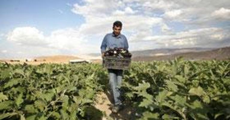 الزراعة تستبشر بالهطول المطري والمياه تدق ناقوس الخطر