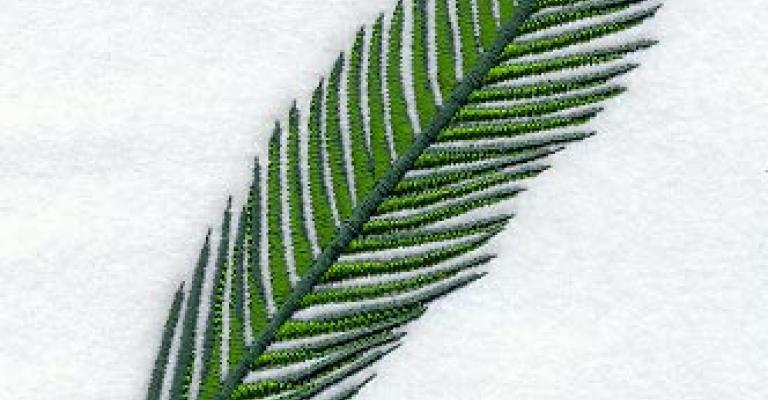 مسيحيو الاردن يحتفلون بـ احد الشعانين