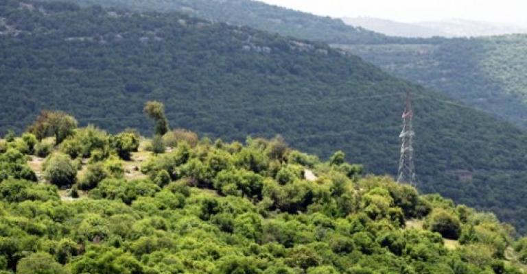 برقش: معارضو الكلية يعتصمون أمام الزراعة والمؤيدون في الغابات