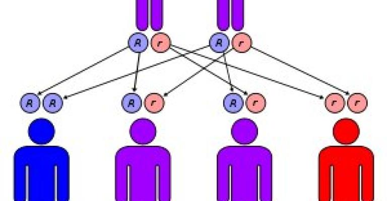 4% نسبة حاملي مرض "الثلاسيميا"