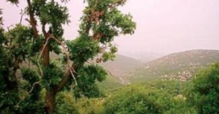 حتى لا تذهب مواردنا للذين لا يقدمون للعالم شيئا 