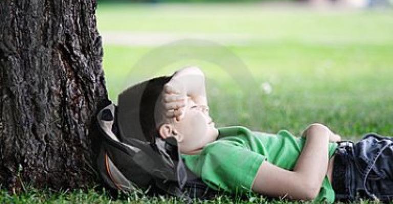 العثور على طفل “سرقه النوم” في ظل شجرة