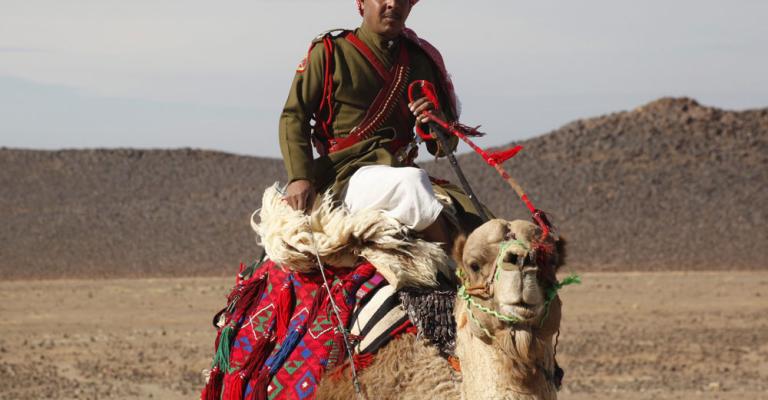 إصابة مطلوب بأعيرة نارية واثنين من قوات البادية