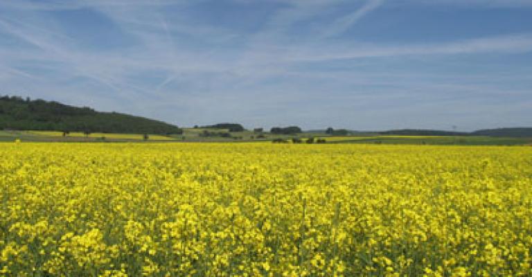 طقس صيفي معتدل والعظمى في عمان 30 درجة