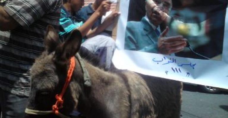 "صور" أهالي معان يرفعون صور البخيت على ظهر حمار