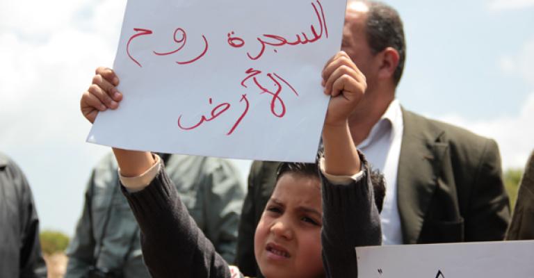 زيارة إلى برقش: لا لحرمان أطفالنا من اجمل الغابات زيارة إلى برقش: لا لحرمان أطفالنا من اجمل الغابات