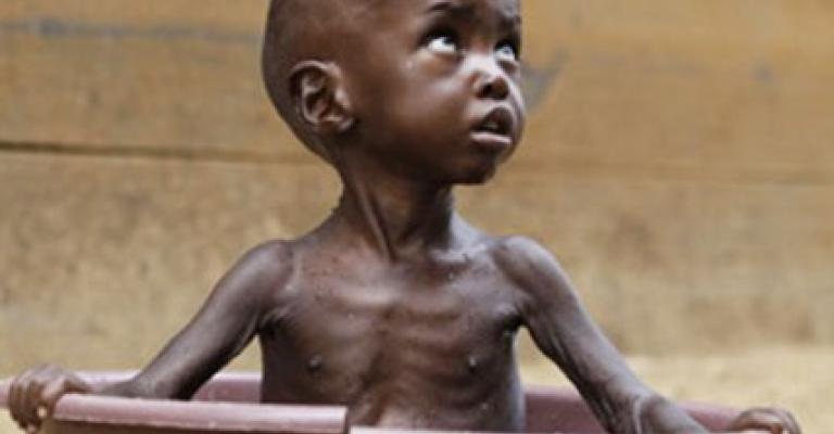 الإخوان يدعون لحملة إنقاذ لضحايا المجاعة في الصومال الإخوان يدعون لحملة إنقاذ لضحايا المجاعة في الصومال