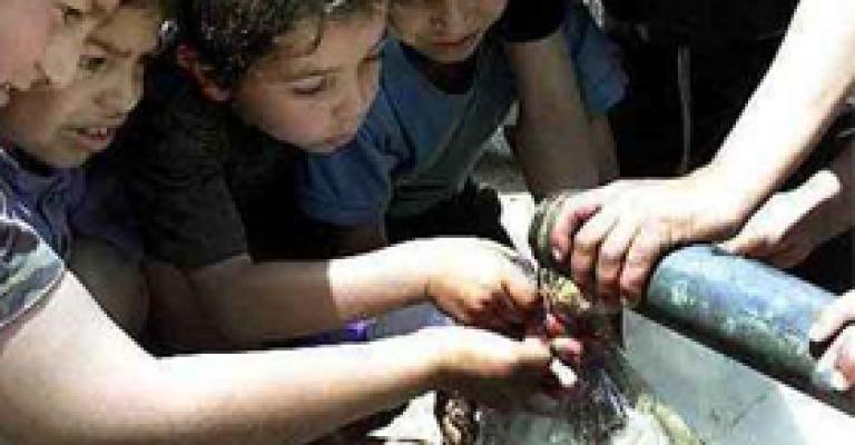 الأغوار.. صيف لاهب دون ماء و كهرباء 